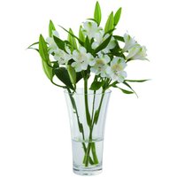 Bouquet Flared