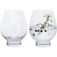 Gin Connoisseur Tumbler Pair