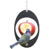 ashortwalk Eco Bird Feeder