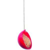 ashortwalk Red Eco Bird Cake Kit