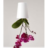 Boskke EcoBoskke Sky Planter