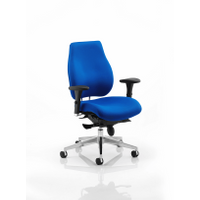 Chiro Plus Ergonomic Posture Chair - Various Colours With Arms - Various Colours