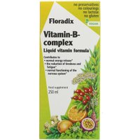 Floradix Vitamin B Complex 250ml