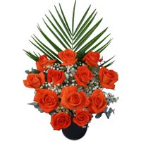 12 Orange Roses