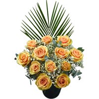 12 Peach Roses