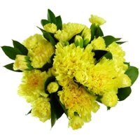 Yellow Carnations - 12 stems