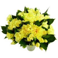 Yellow Carnations - 24 stems