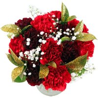 Christmas Carnations
