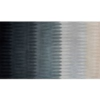 Acacia Grey