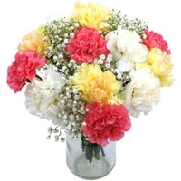 Mixed Carnations
