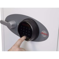The Phoenix Titan - FS1280 SERIES Fingerprint Locking Available - Standard Size