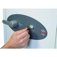 The Phoenix Titan - FS1280 SERIES Fingerprint Locking Available - Standard Size