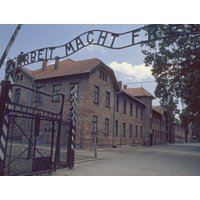 Auschwitz Tour from Krakow