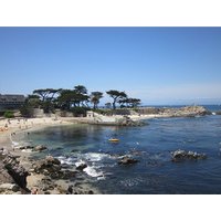 Monterey and Carmel Tour