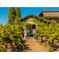 Wine Country Half Day Tour - From San Francisco