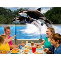 SeaWorld - Up-Close Dining at Shamu Stadium