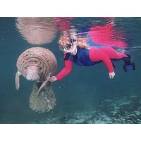 Swim With Manatees Florida