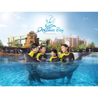 Swimming With Dolphins at Atlantis The Palm Dubai
