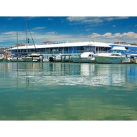 Clearwater Beach and Dolphin Encounter