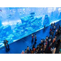 Dubai Aquarium