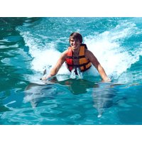 Swim with Dolphins Isla Mujeres