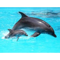 Marineland and Katmandu