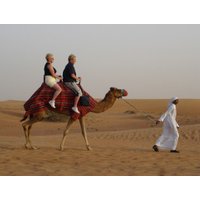 Ultimate Safari Adventure (Private Group of up to 6)