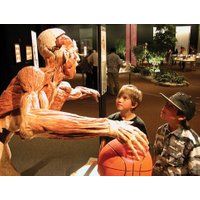 Body Worlds - Skip the Line Admission
