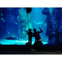 Sea Life London Aquarium