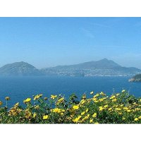 Full Day Ishia and Mortella Gardens - from Sorrento