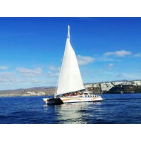 Catamaran Afrikat