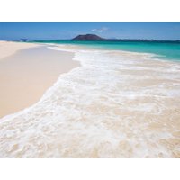 Lobos Catamaran Day Trip