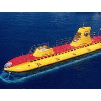 Submarine Safari