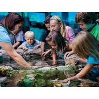 Sea Life Orlando at I-Drive 360