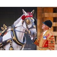 The Royal Mews - Buckingham Palace