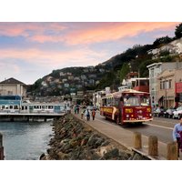 Panoramic Night Tour of San Francisco