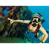 Ocean College PADI Scuba Dive Course - 2 Days