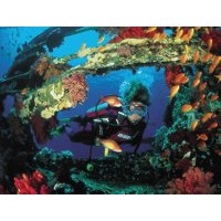 Ocean College PADI Advanced Open Water Dive -2 Days