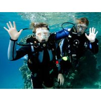Ocean College PADI Open Water Dive Course - 4 Days