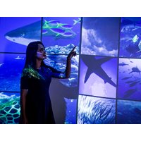 Orbi Dubai Tickets